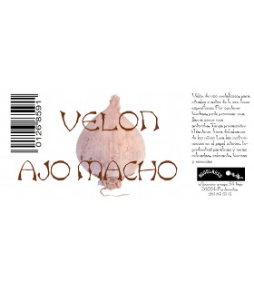 VELON AJO MACHO