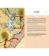 TAROT ENCUENTRA TU MAGIA