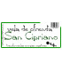 VELA OFRENDA SAN CIPRIANO