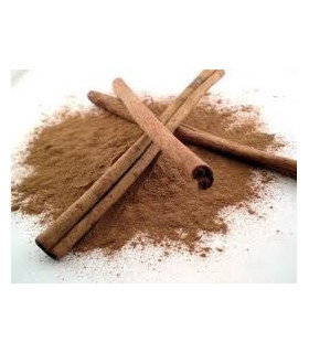 CANELA