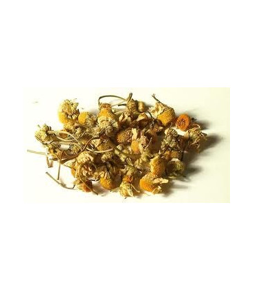 MANZANILLA