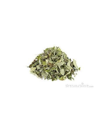 MENTA