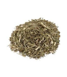 VERBENA
