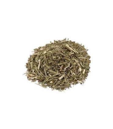 VERBENA