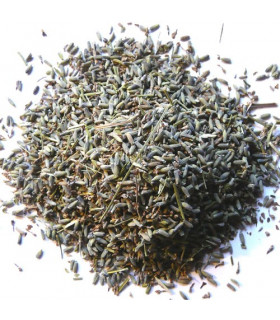 ESPLIEGO-LAVANDA