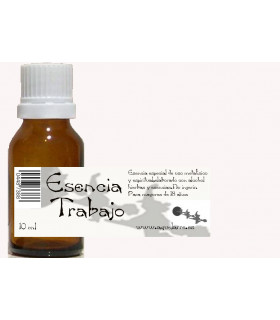 ESENCIA PARA EL TRABAJO