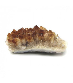 CITRINO